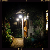 SPICE Cafe, Tokyo<br />
東京　スパイス・カフェ